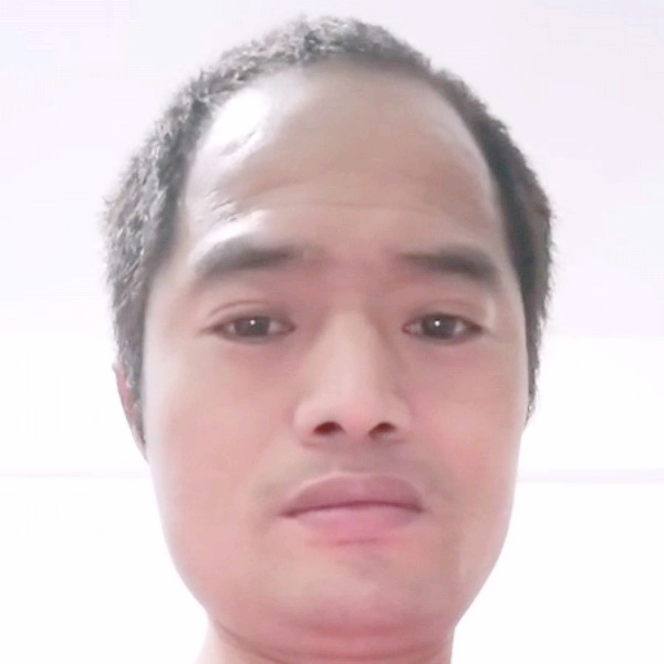 野性草丛的照片