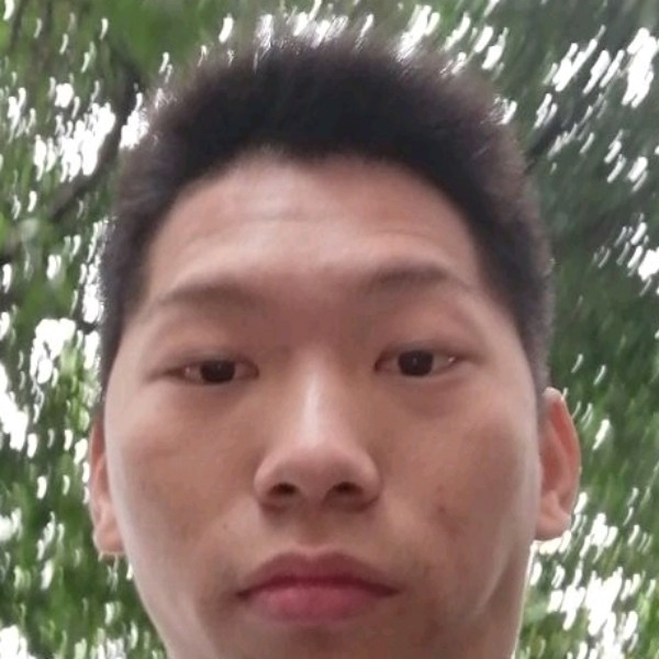 迷茫演变白猫的照片