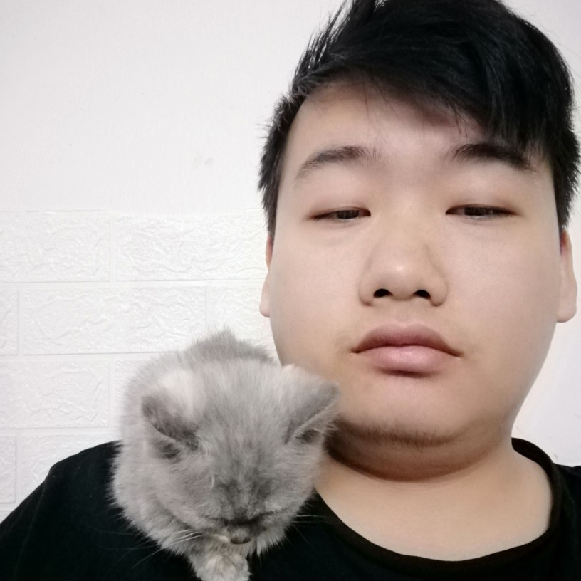 悦耳愿冬日的照片