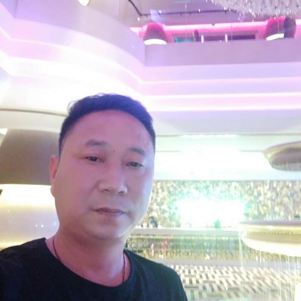 向日葵的糊涂的照片