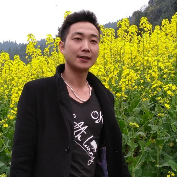 追风狼的照片