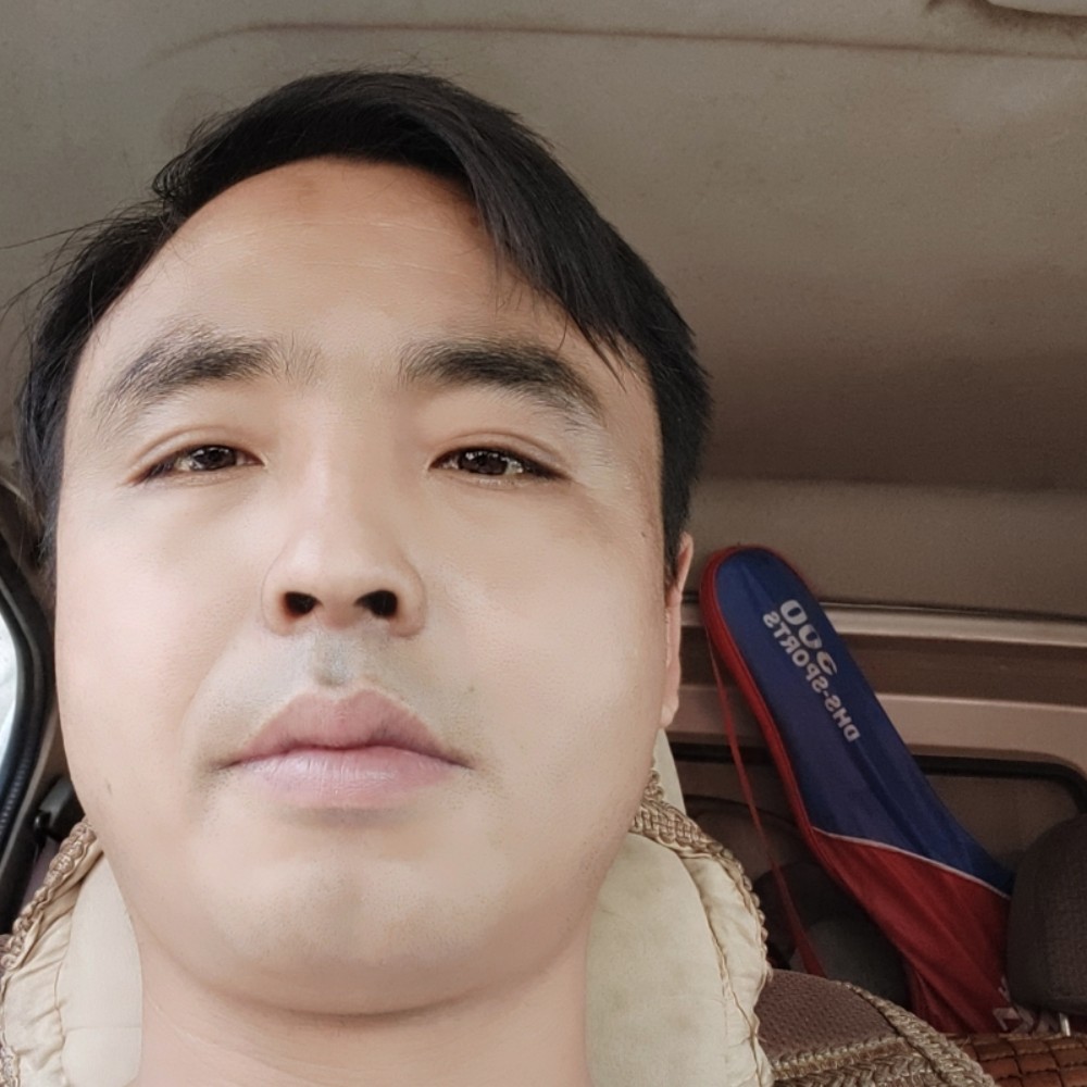 树叶浅吻大气的照片