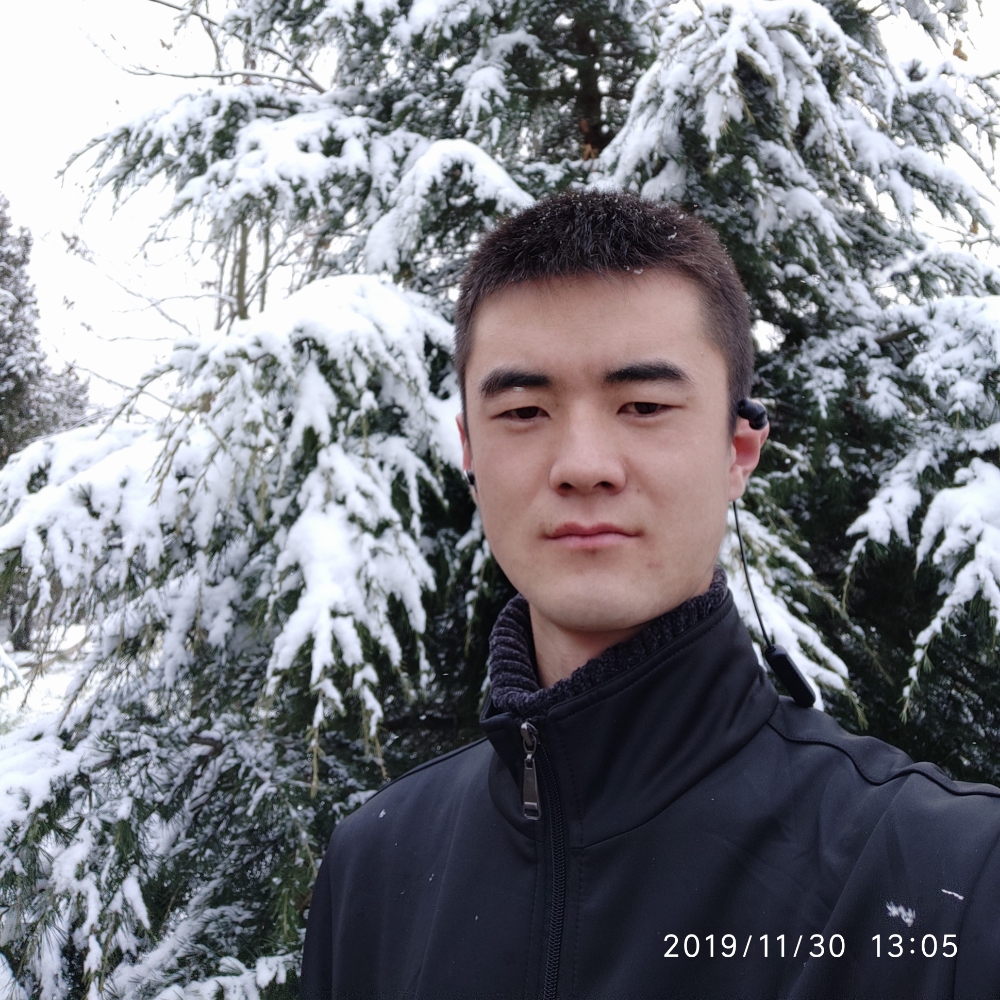 一叶芦苇的照片