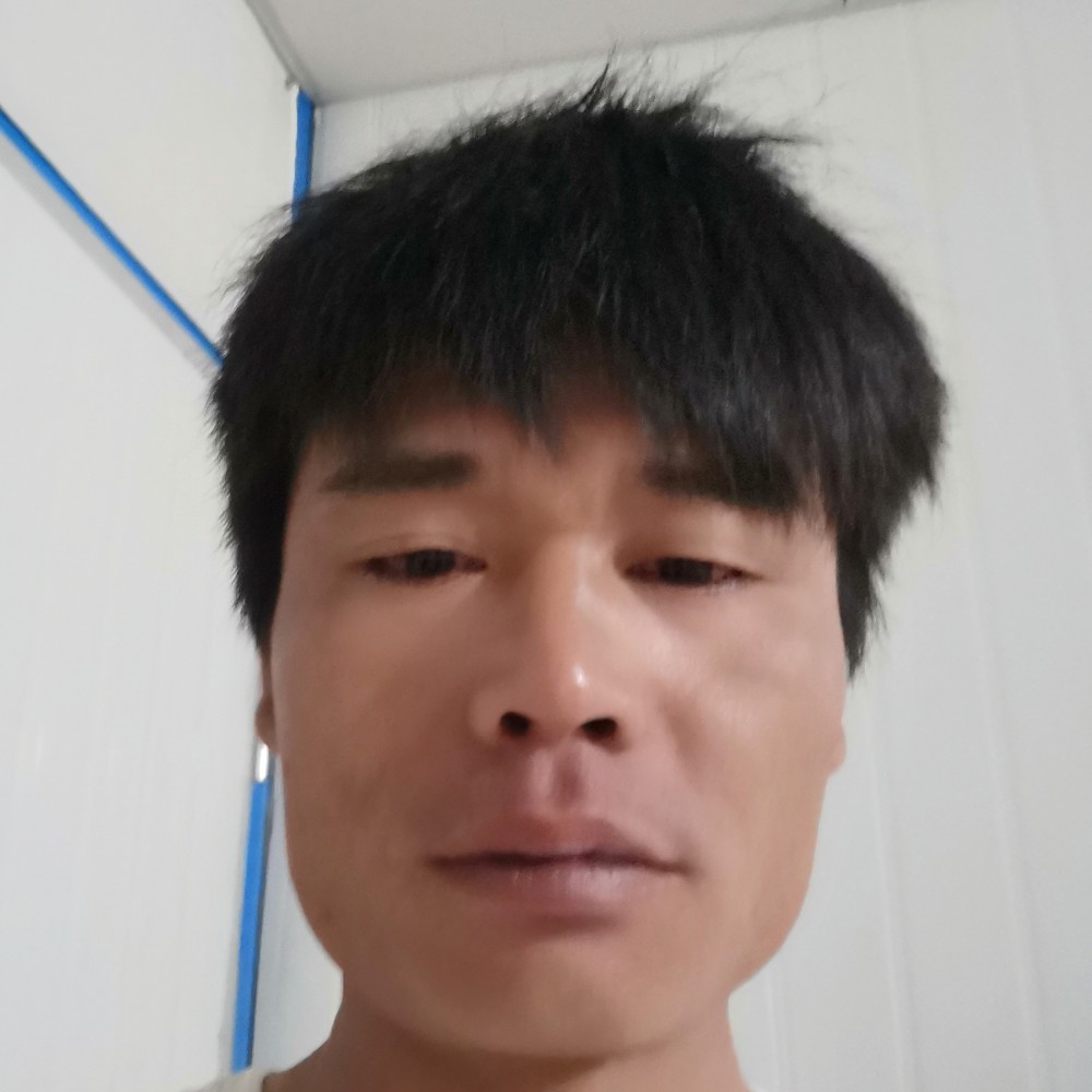 机智星愿大的照片