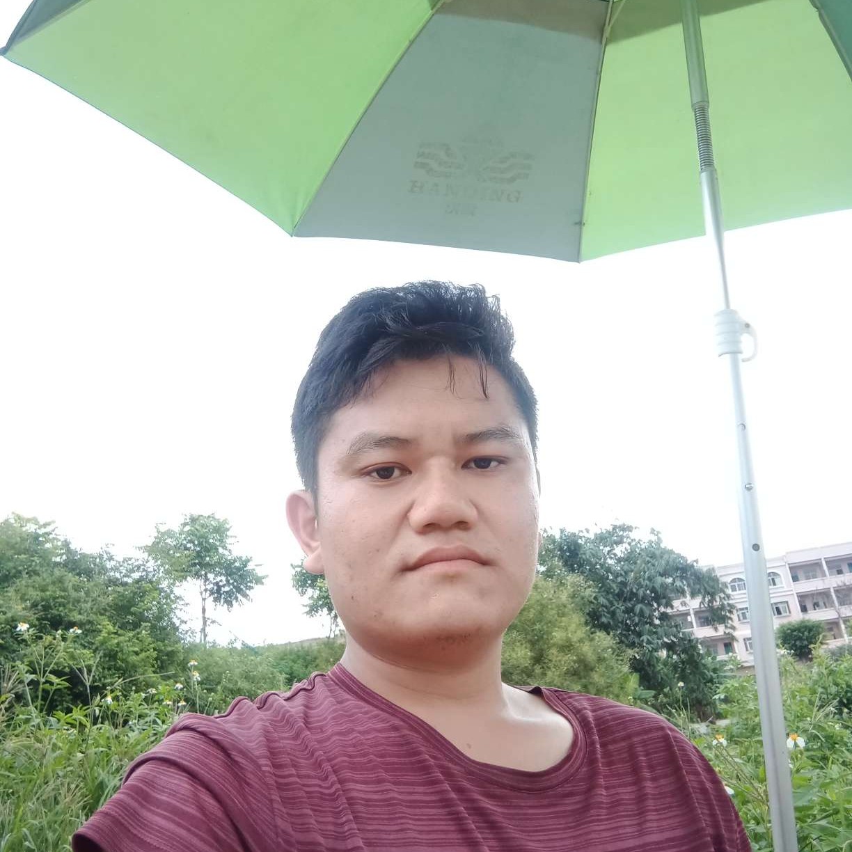 水杯害羞的照片