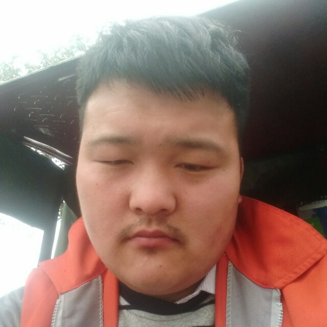 石头深情的照片