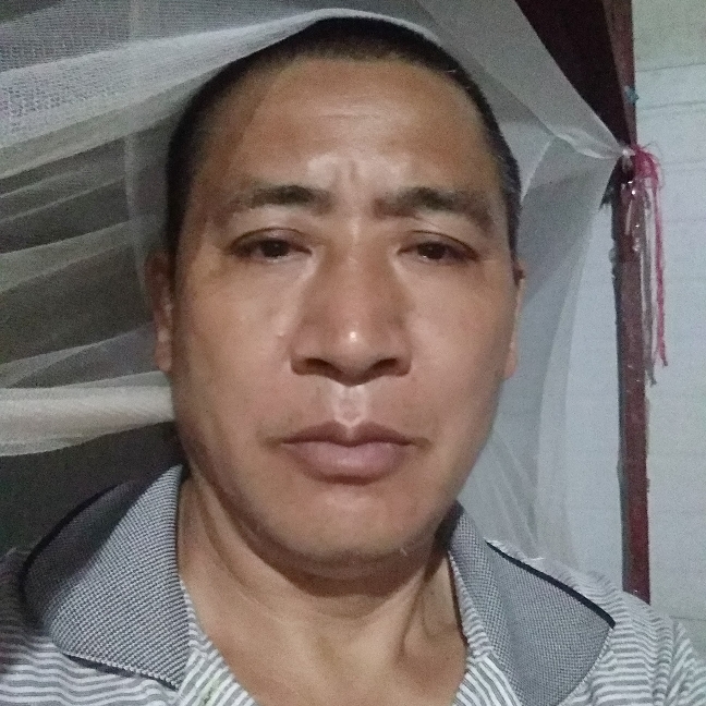 彼年多么星月的照片