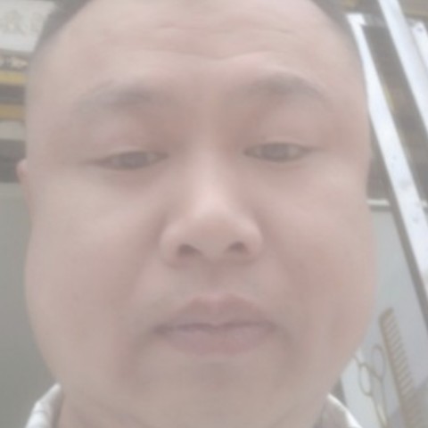 不安蹁跹母鸡的照片