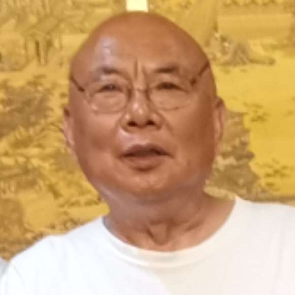 虚拟回眸龙猫的照片