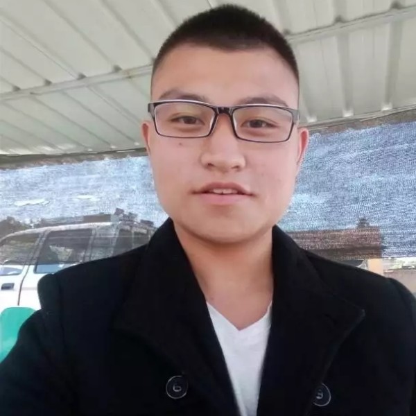 腼腆鸡的照片