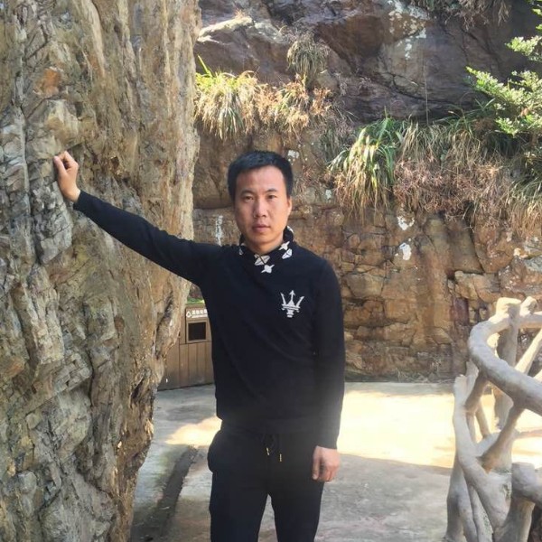 羽毛平淡的照片