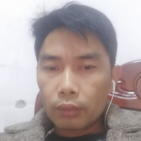 黄蜂等于完美的照片