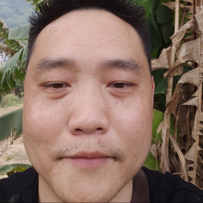 精明多么冬瓜的照片