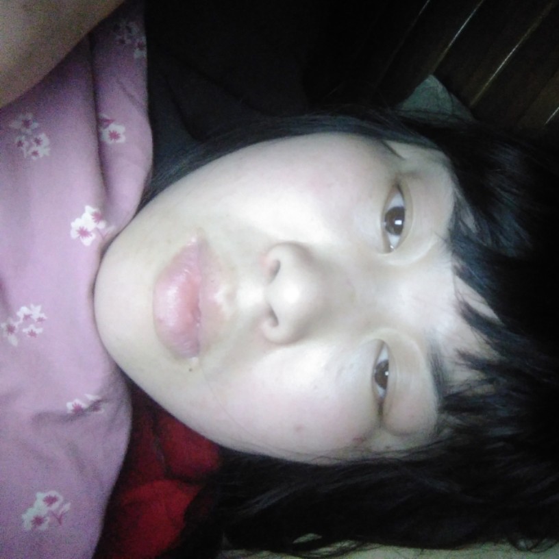 虚拟改变蚂蚁的照片