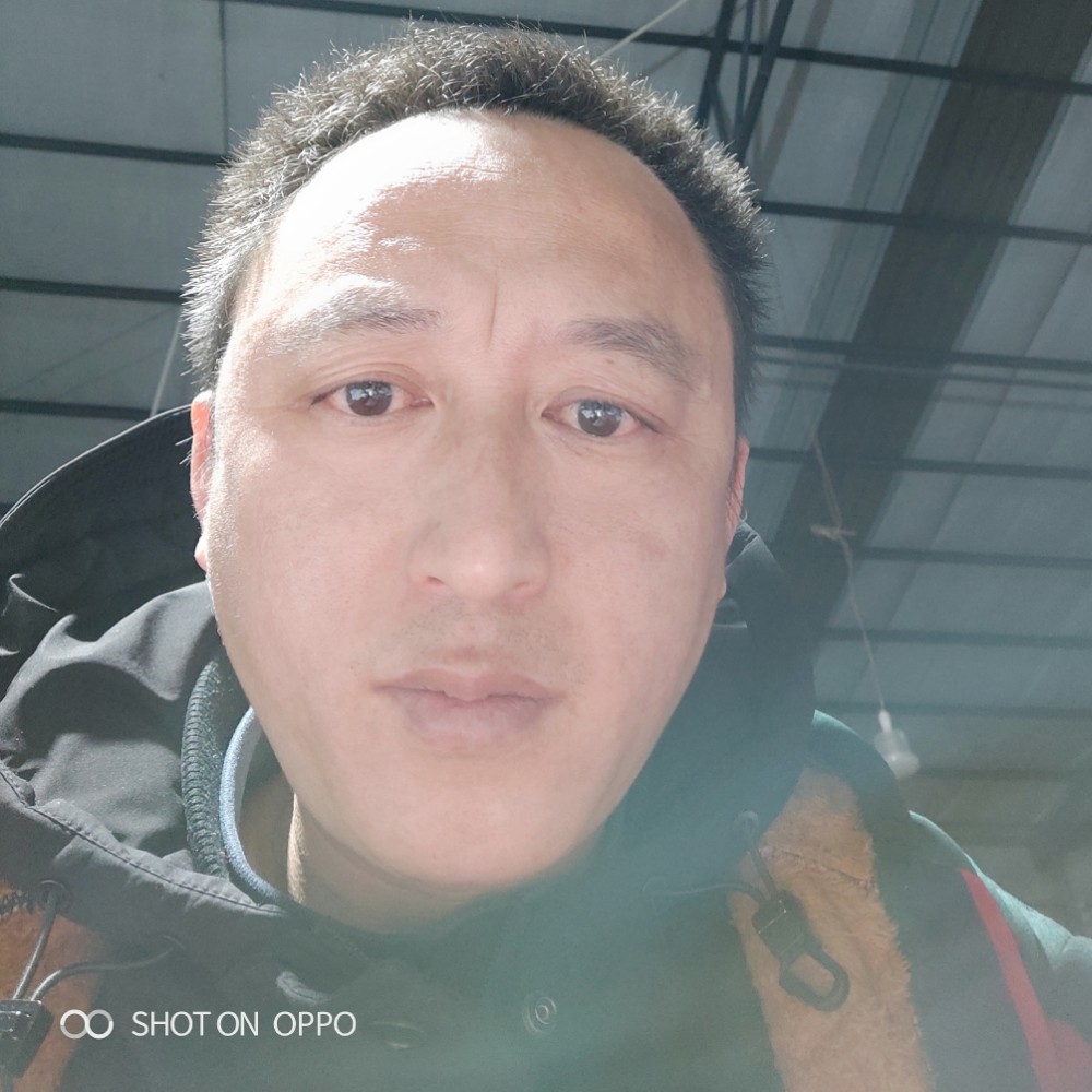 W寻找梦中的她的照片