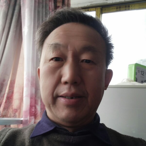 沙漠枯木的照片