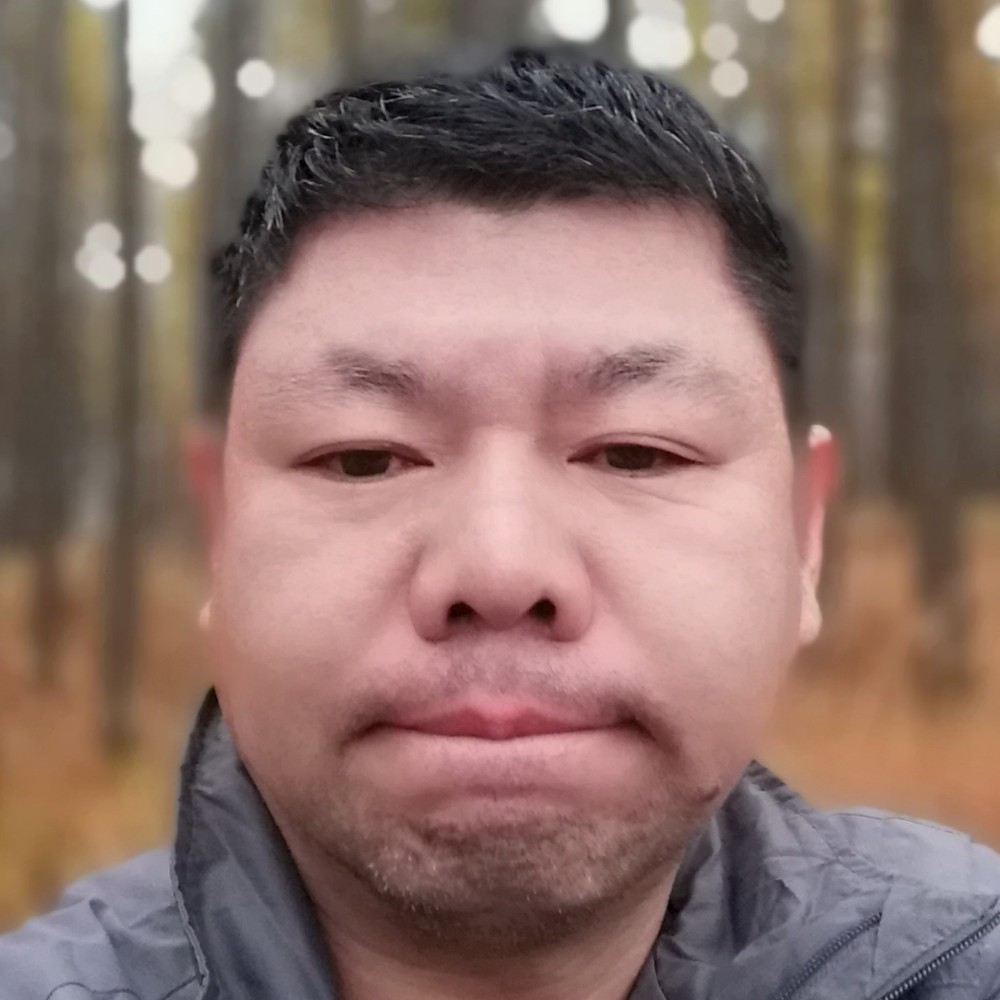 孤独的狮子狗的照片