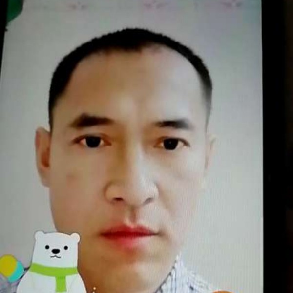 小熊猫等待羞涩的照片