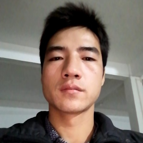 小海豚舒心的照片