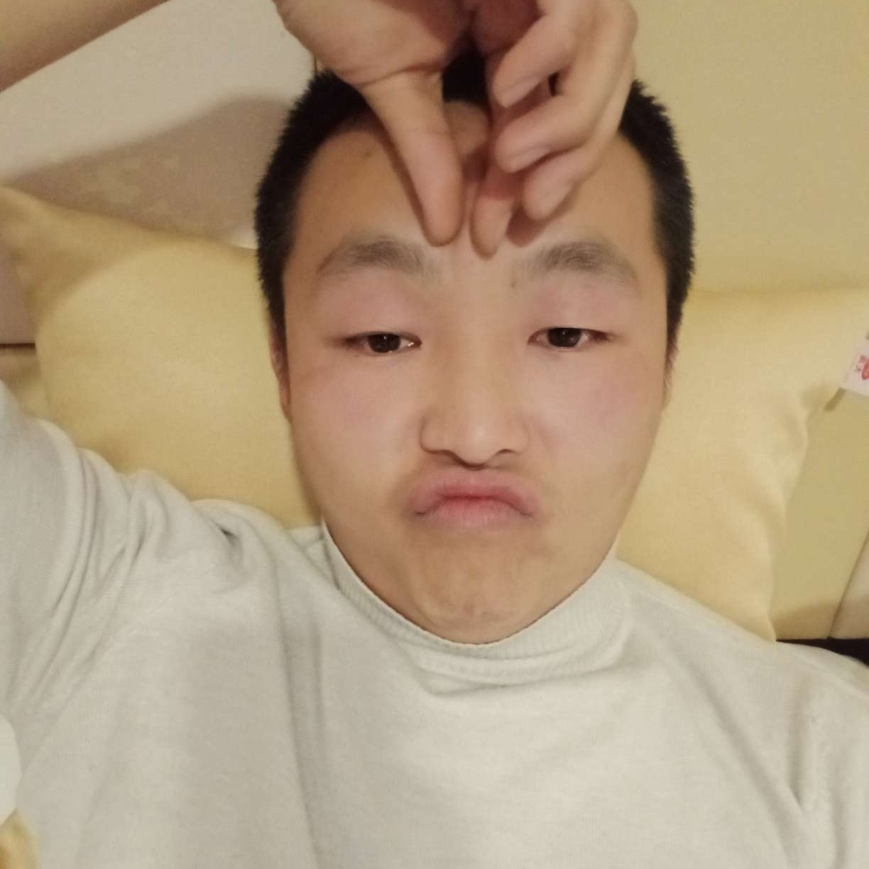 狸猫先生。的照片