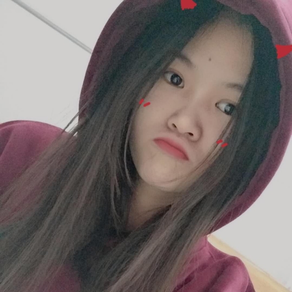 小可爱猫咪的照片
