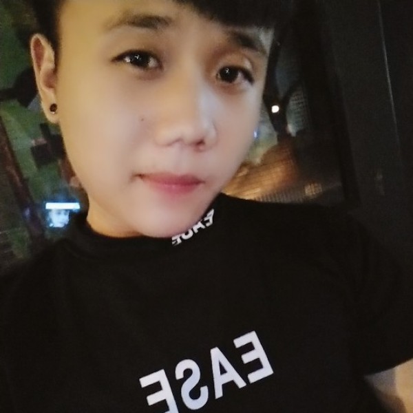 跳跃小松鼠的照片