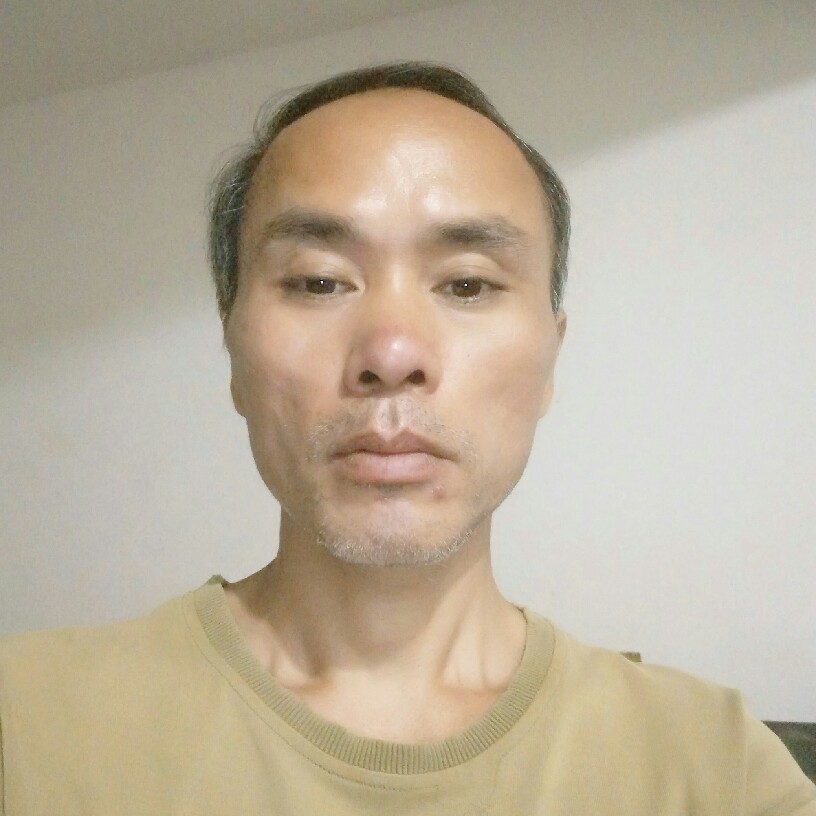 那片森林的照片