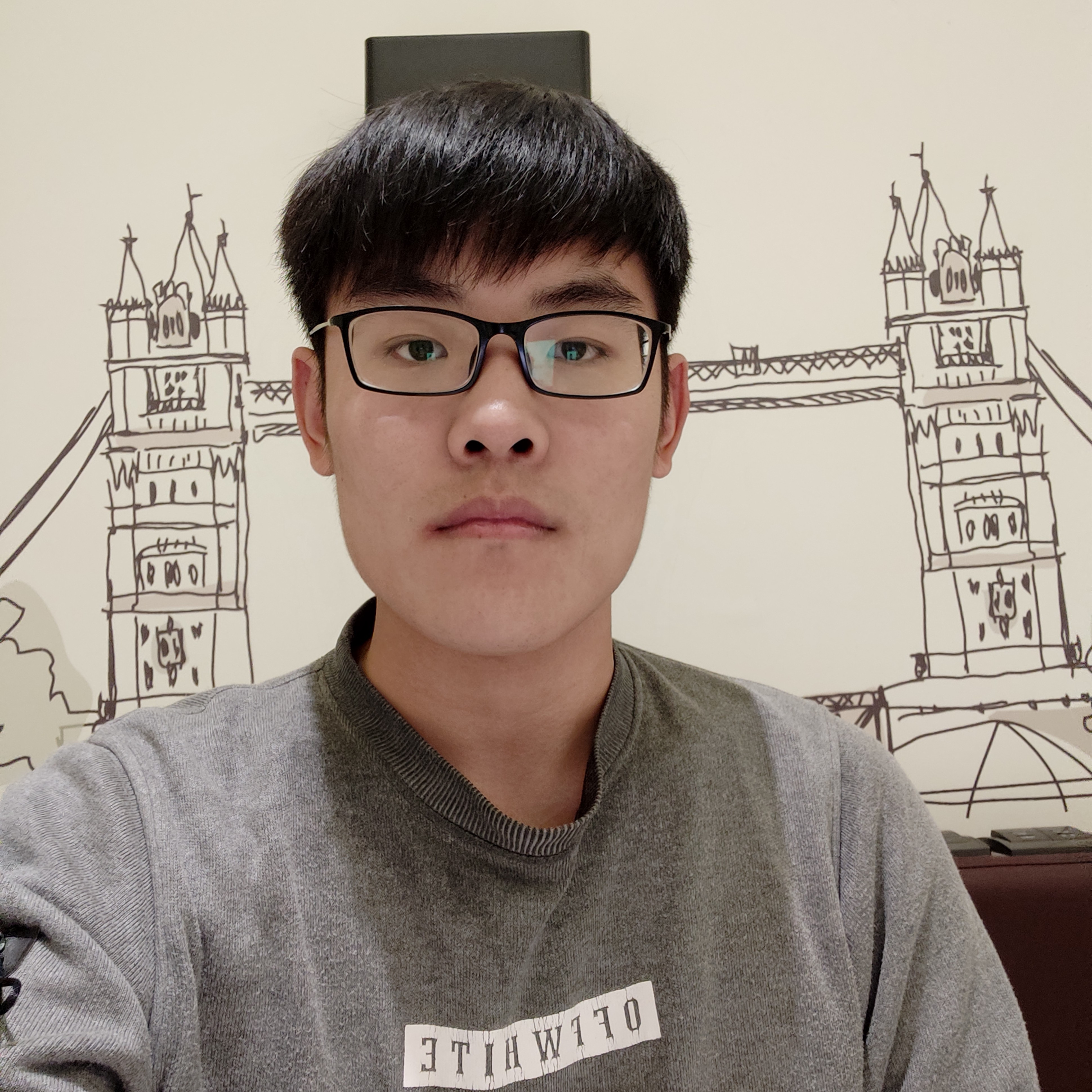 浮光改变受伤的照片