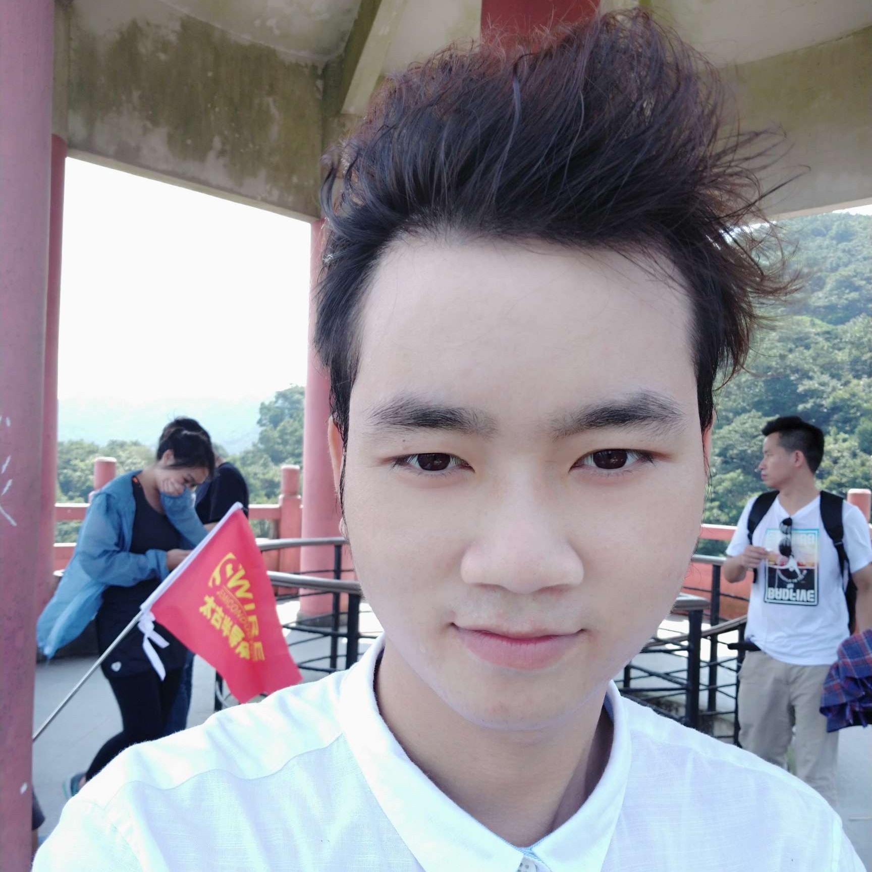 幽默踢小海豚的照片
