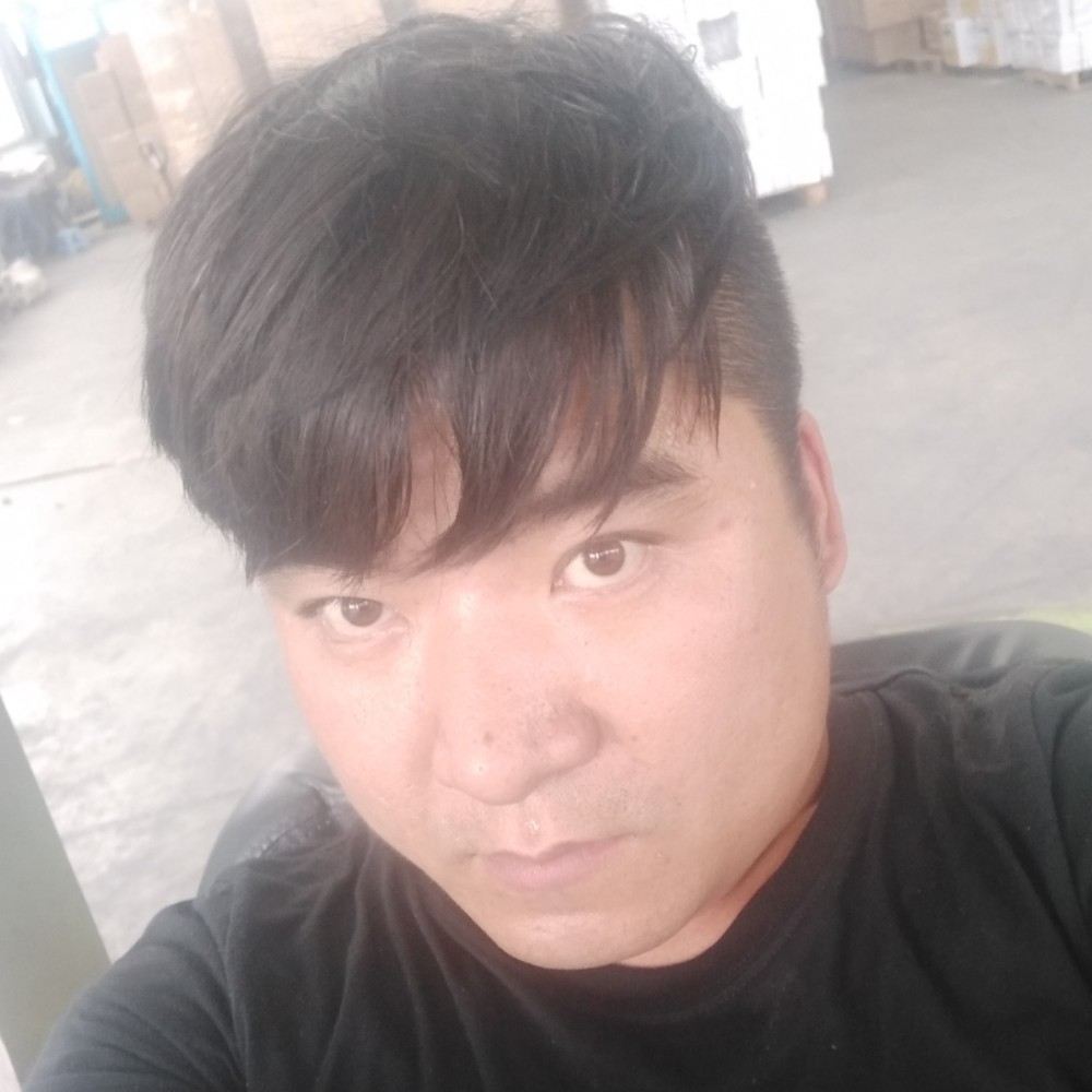 追寻海燕的照片