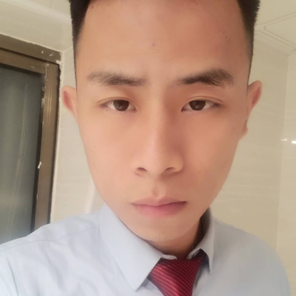 鱼儿南下的照片