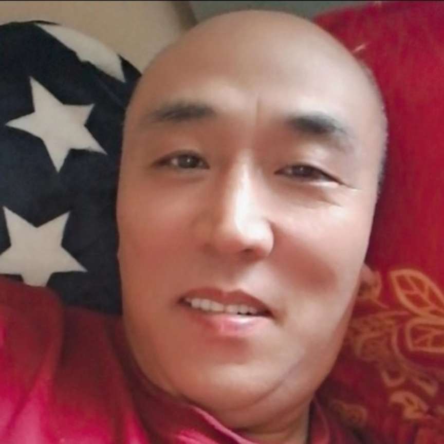 美利坚龙的照片