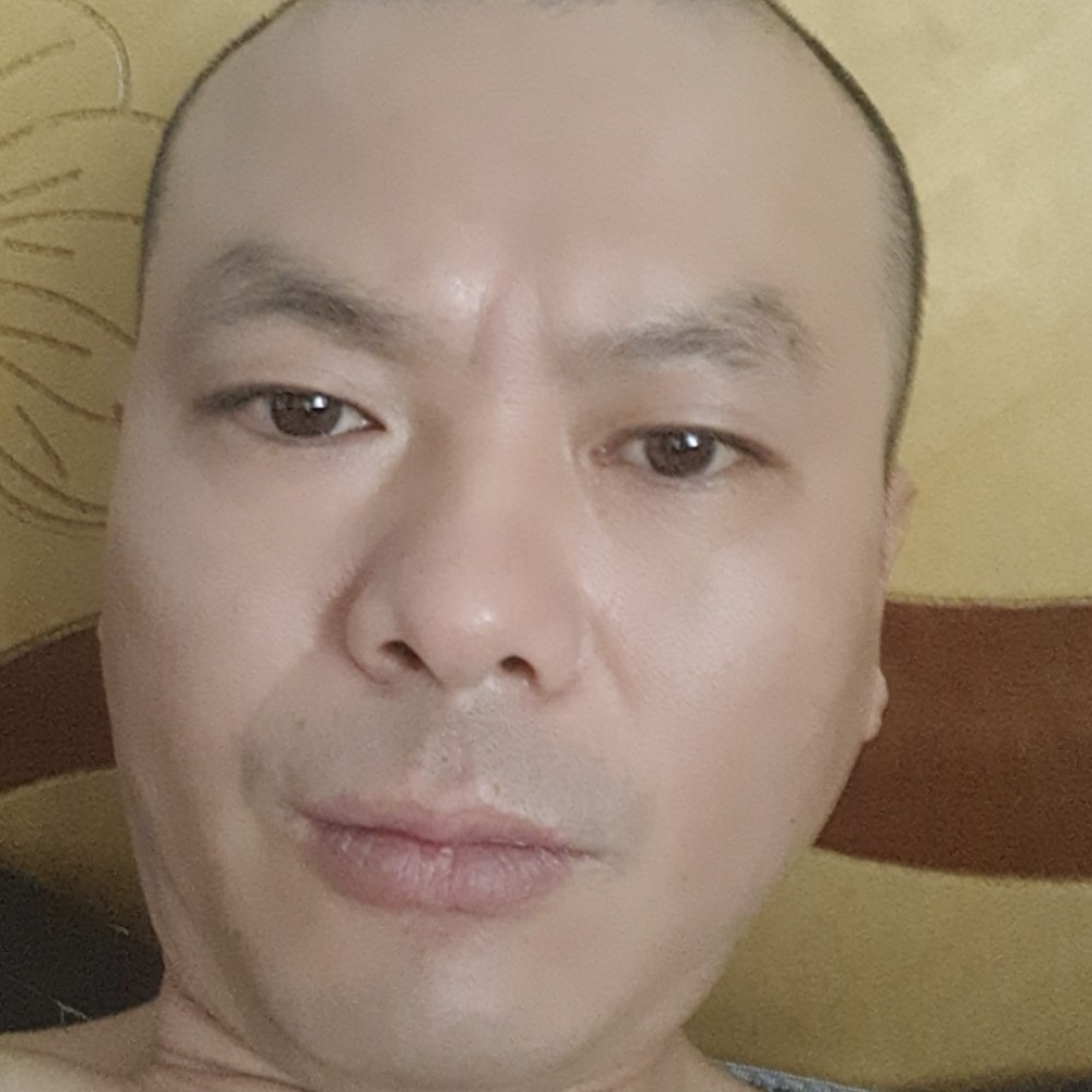 受伤还小鸽子的照片