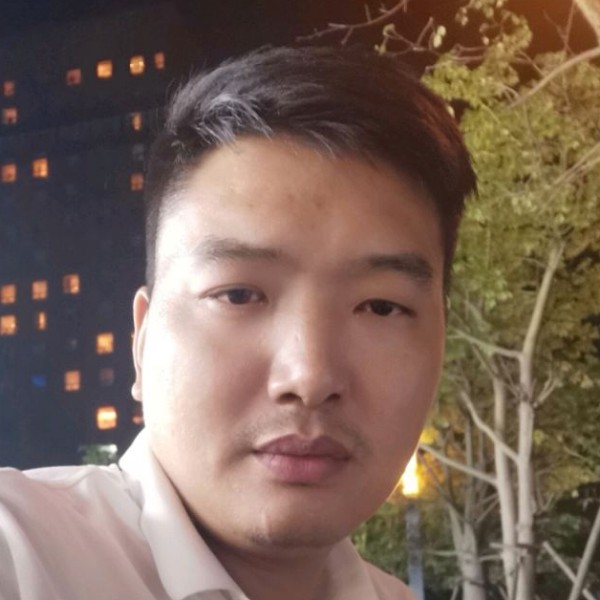 自由漫步大树的照片