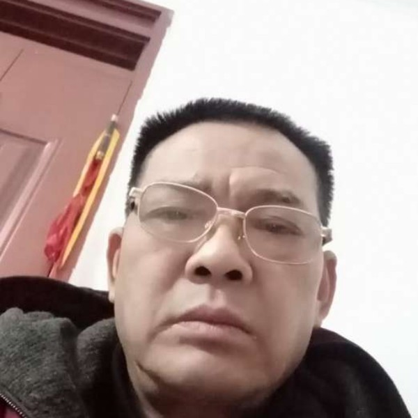 母鸡英俊的照片