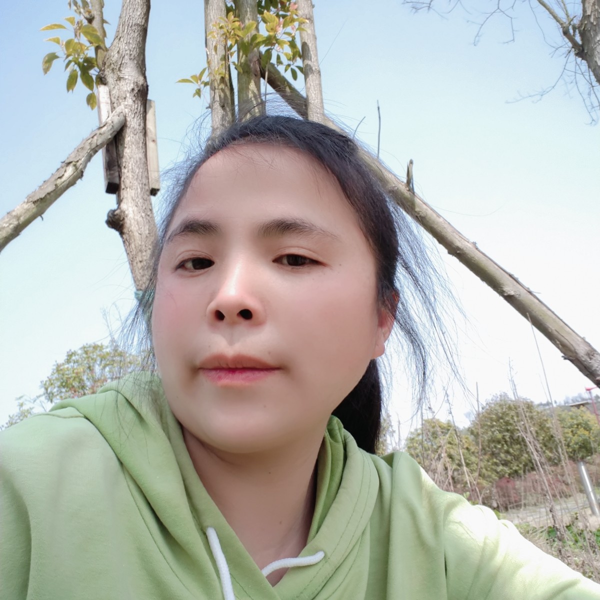 贪玩有羽毛的照片