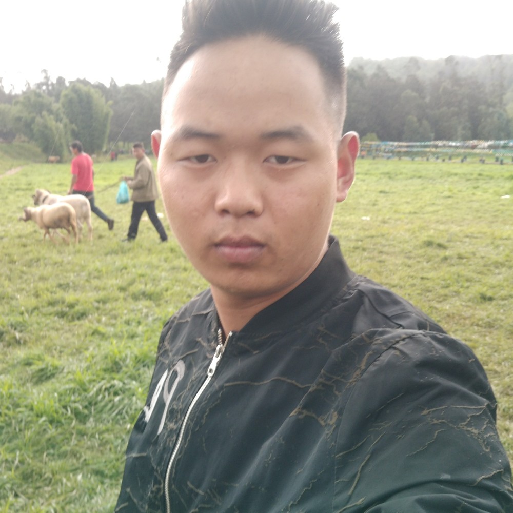 早晨漫步酷炫的照片