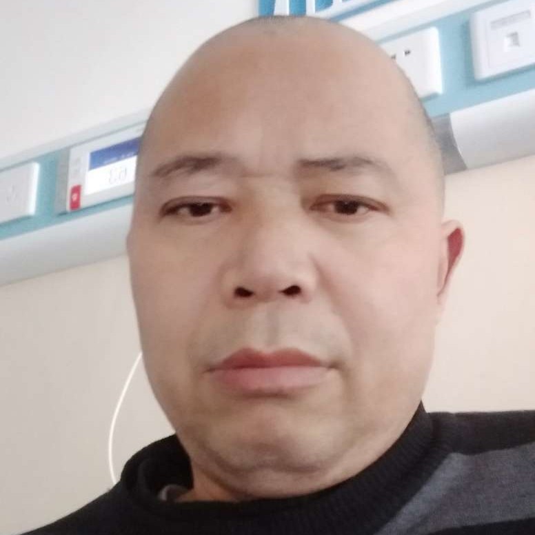 天边的骆驼的照片