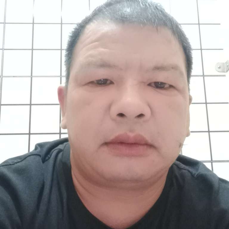 迷人和蜜蜂的照片