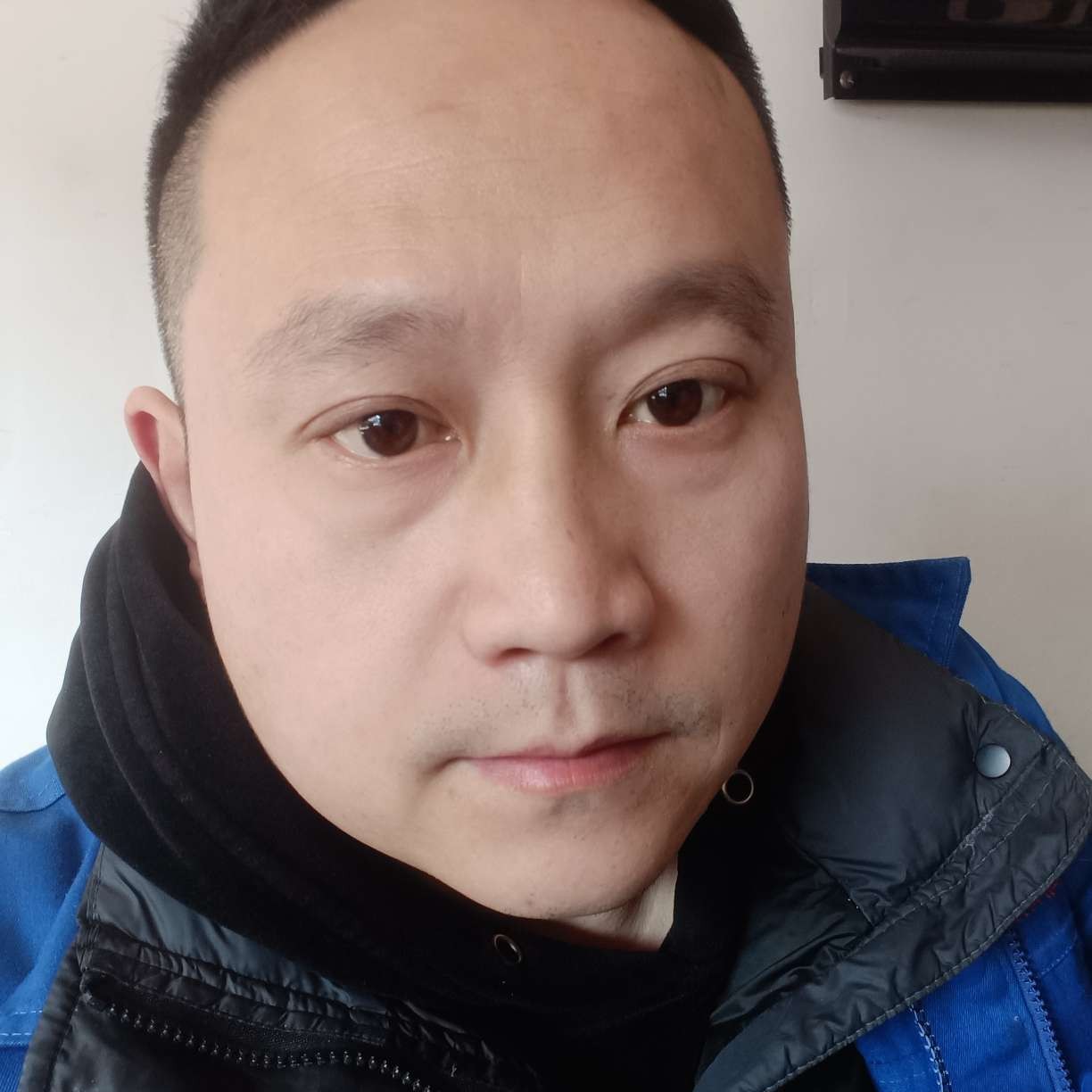 牛气冲天8的照片
