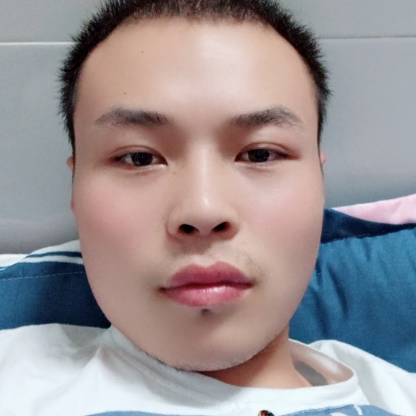 小海豚扯年轻，的照片