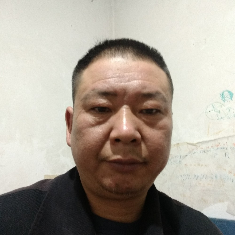 温柔扯斑马的照片