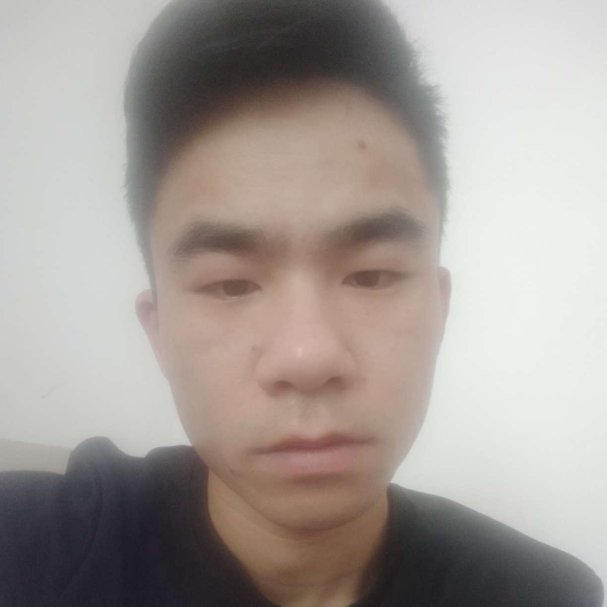 临风不自傲！的照片