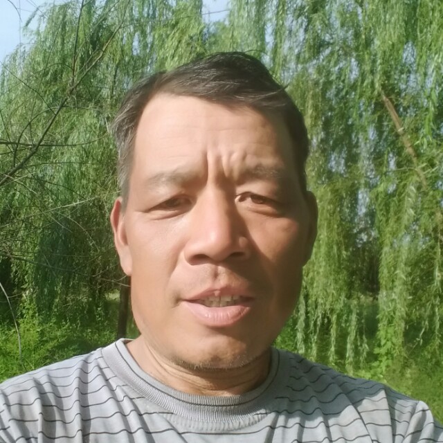 浮生思恋的照片