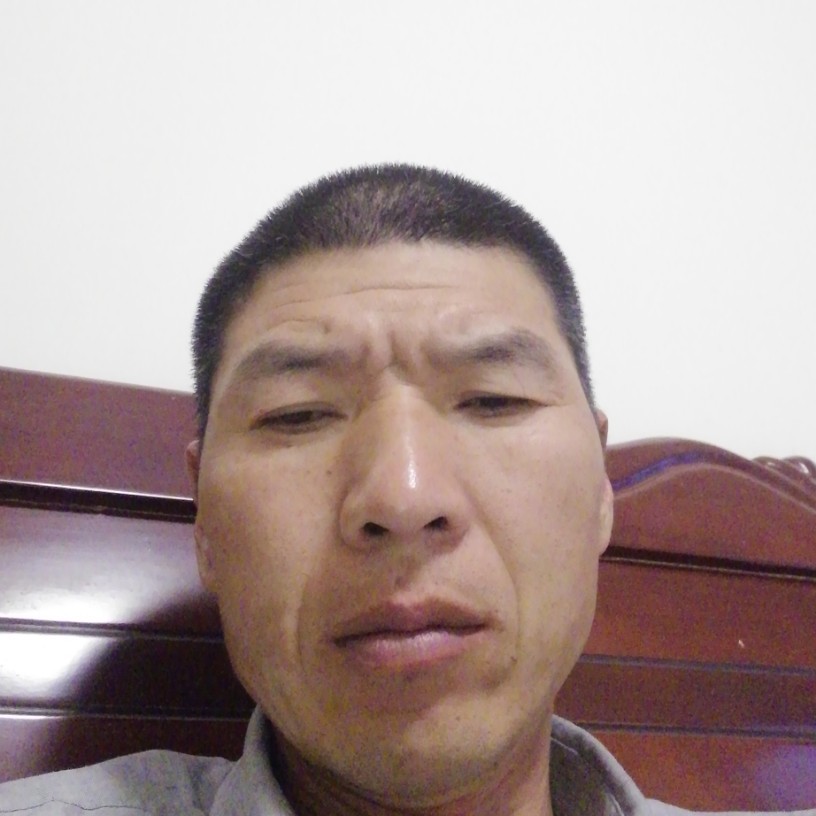 白昼邂逅精明的照片