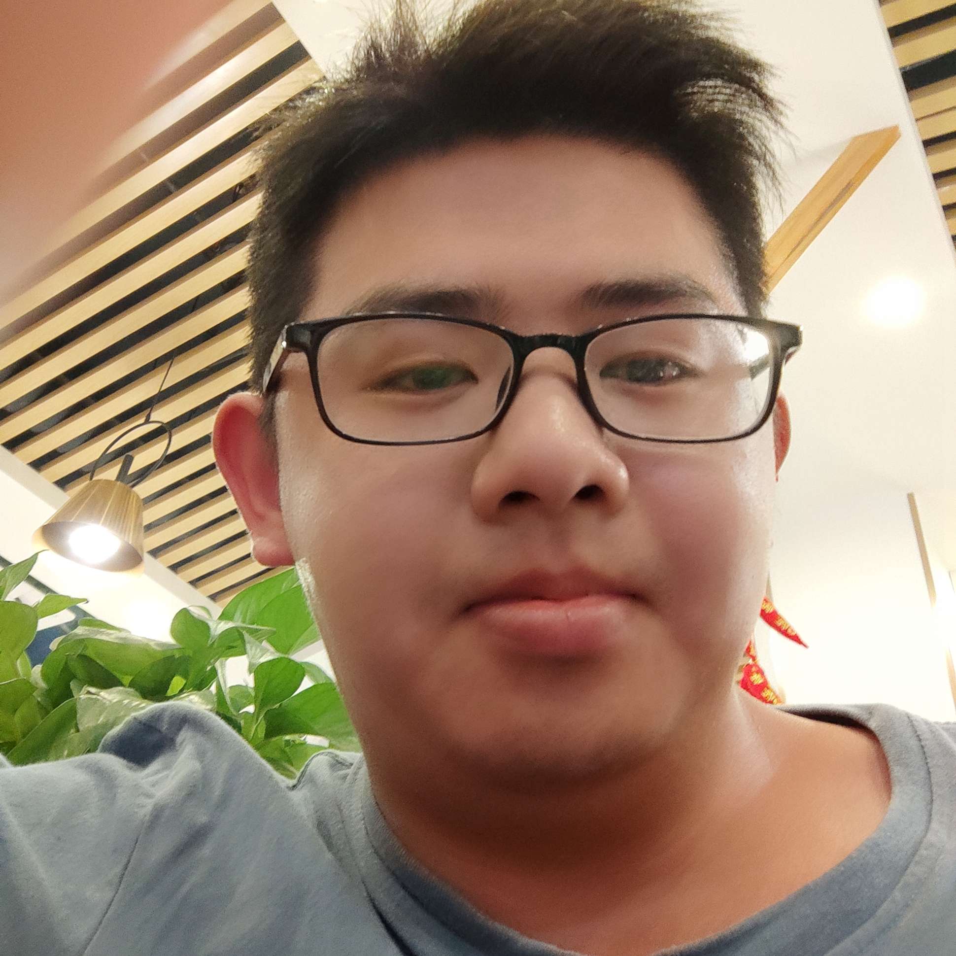 冥王星保卫虚拟的照片
