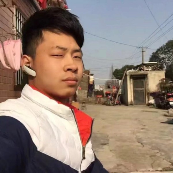 犹豫森槿的照片
