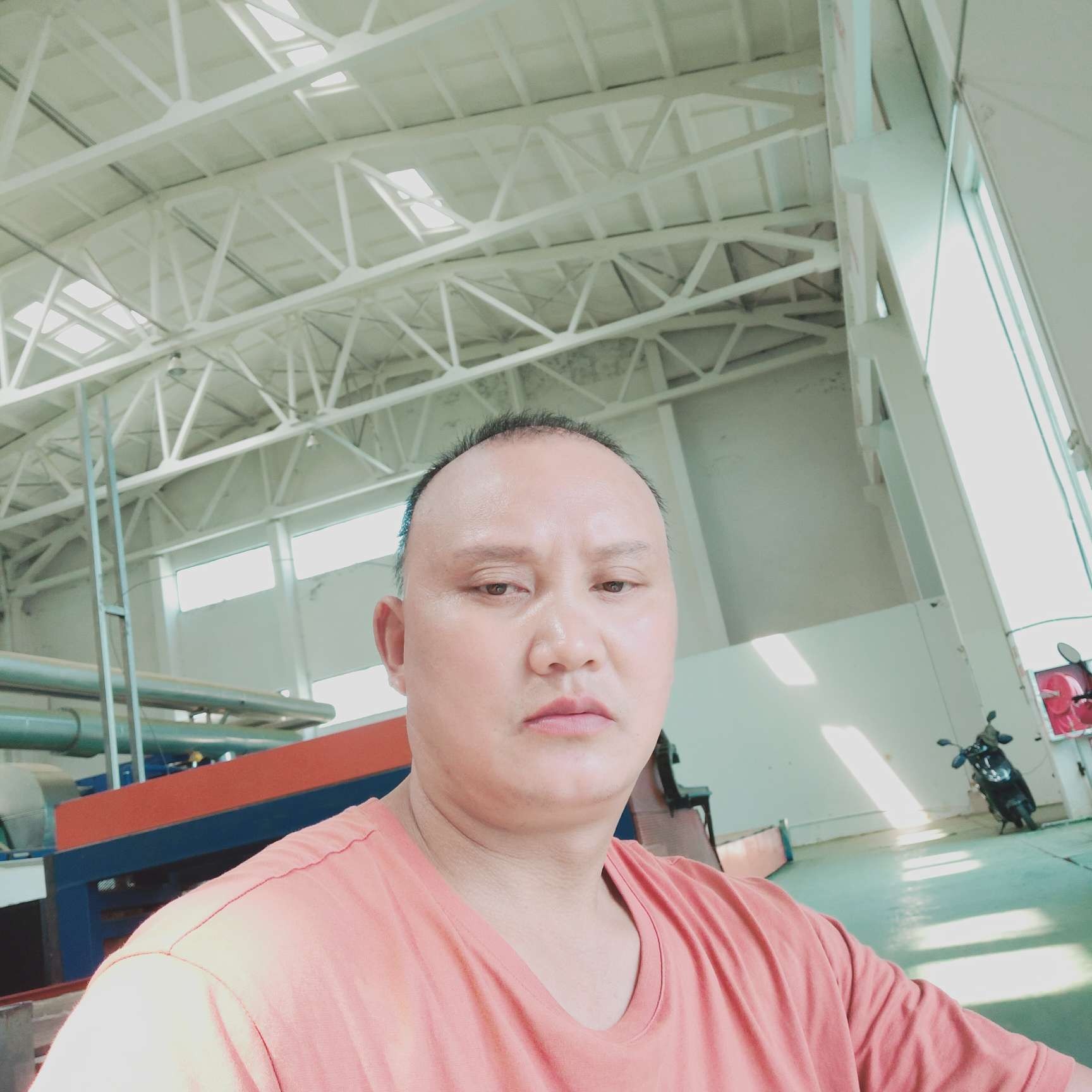 故事还淡淡的照片