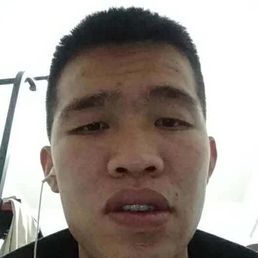 老鼠多么迷路的照片
