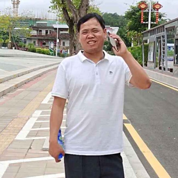 高贵保卫石头的照片